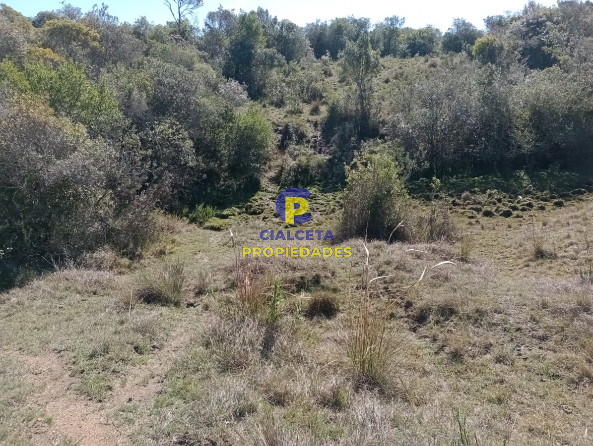 Las Cañas - GoPunta - Portal Inmobiliario de Punta del Este - Maldonado