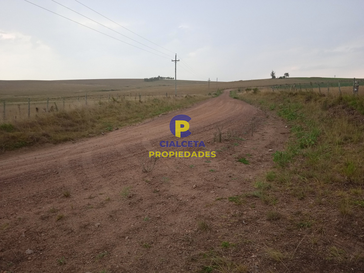 Los Talas - GoPunta - Portal Inmobiliario de Punta del Este - Maldonado