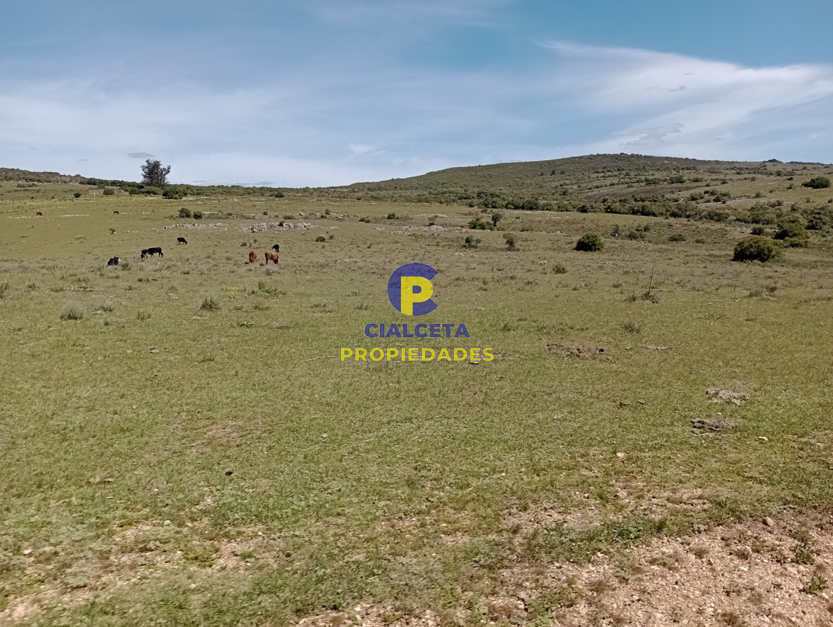Pueblo Eden - GoPunta - Portal Inmobiliario de Punta del Este - Maldonado