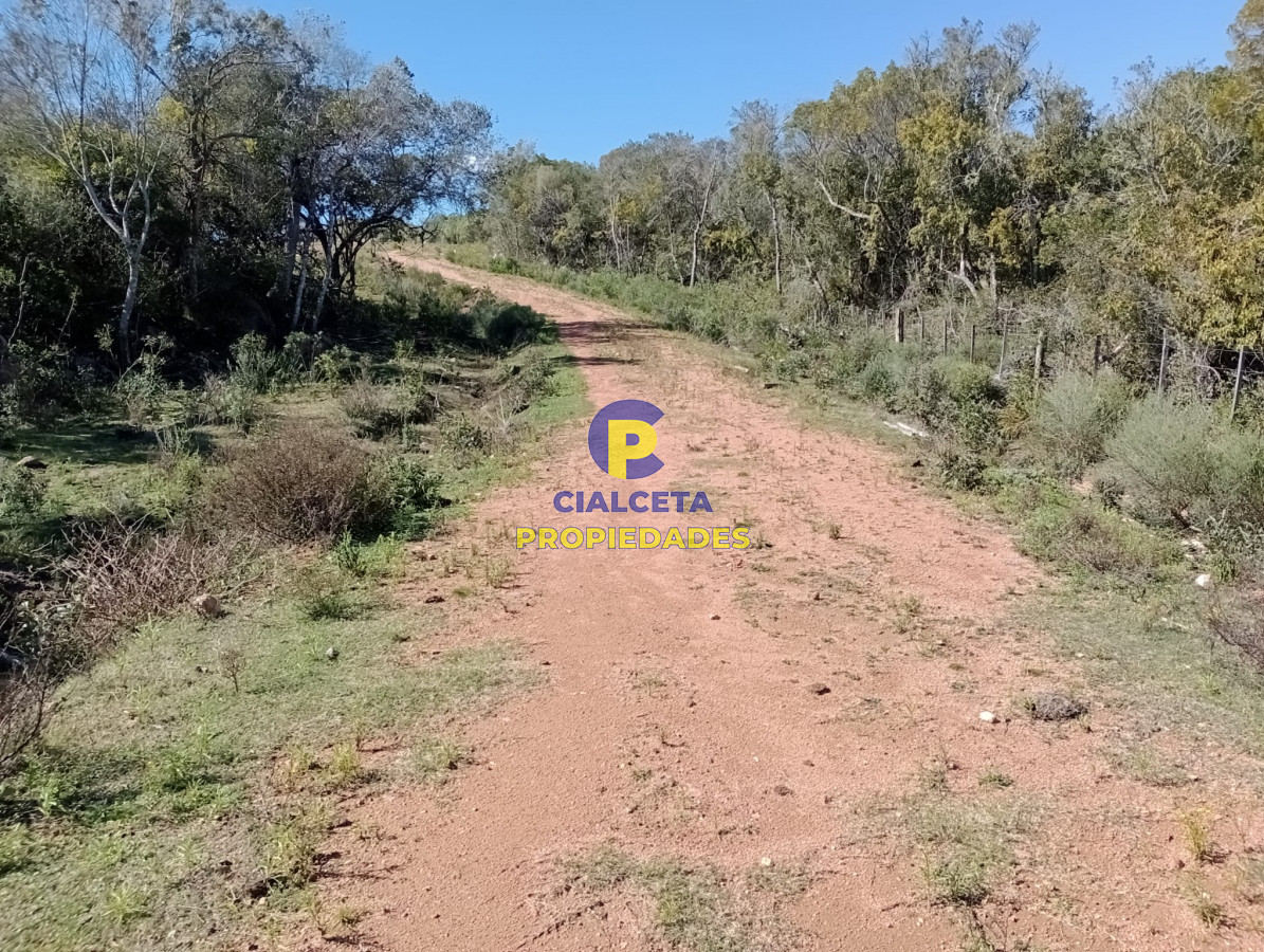 Las Cañas - GoPunta - Portal Inmobiliario de Punta del Este - Maldonado
