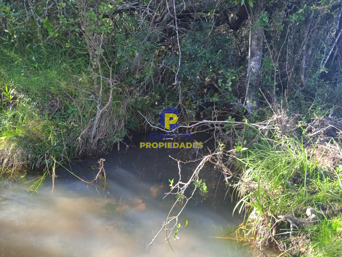 Las Cañas - GoPunta - Portal Inmobiliario de Punta del Este - Maldonado