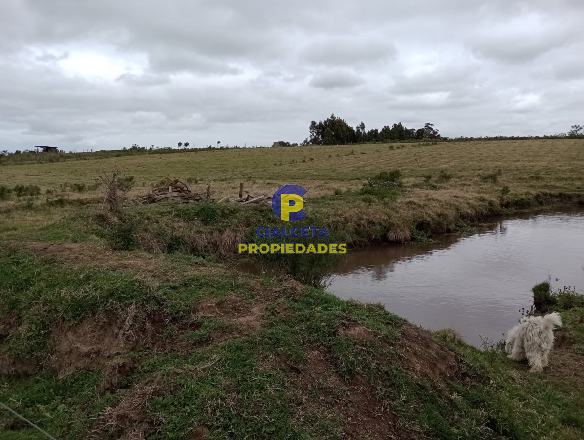 Propiedad - GoPunta - Portal Inmobiliario de Punta del Este - Maldonado
