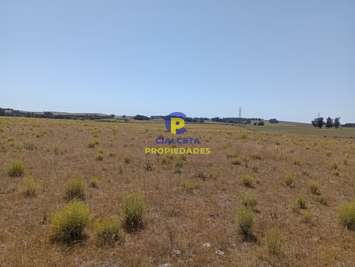 Zona Rural - GoPunta - Portal Inmobiliario de Punta del Este - Maldonado