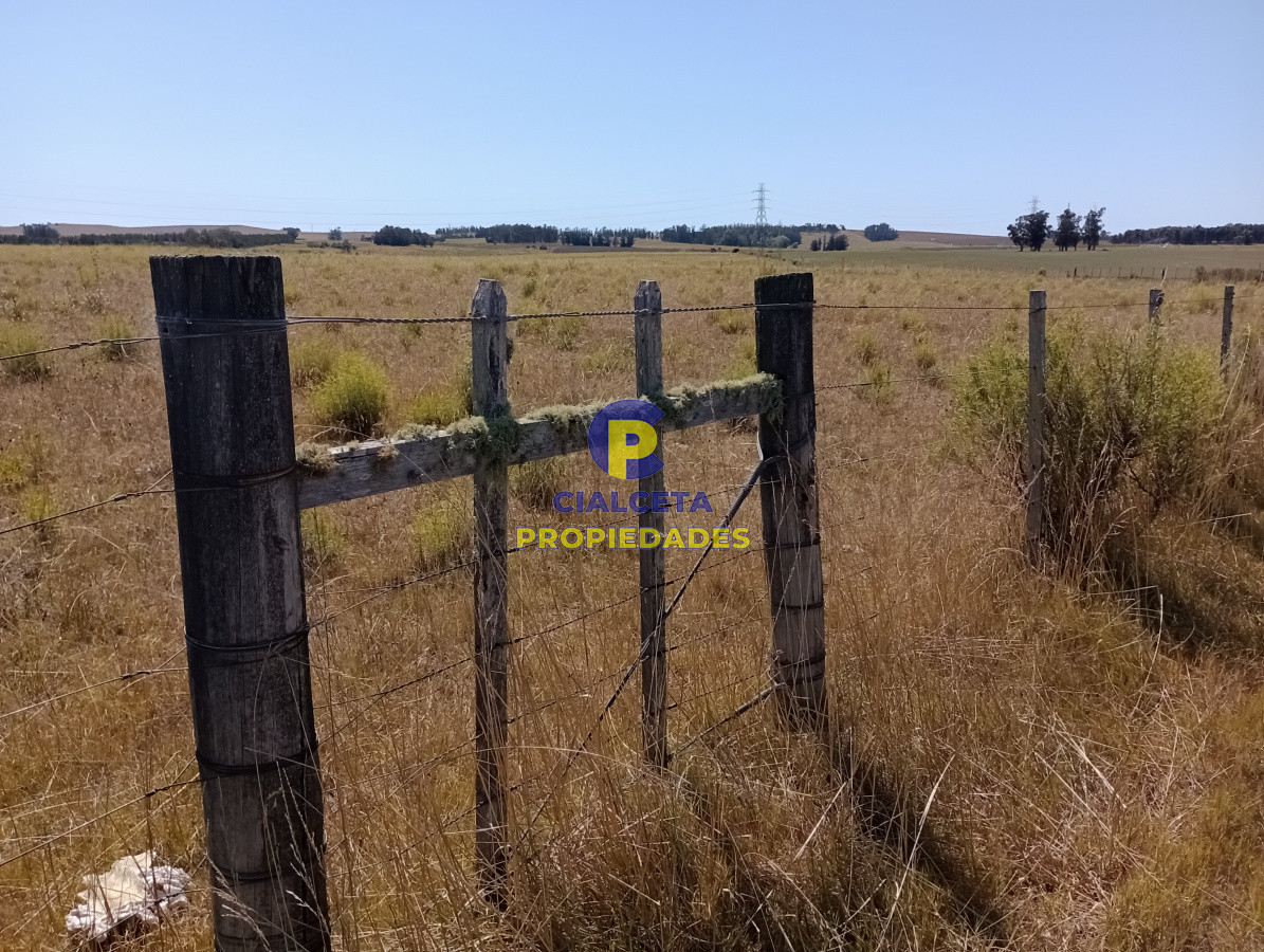 Zona Rural - GoPunta - Portal Inmobiliario de Punta del Este - Maldonado