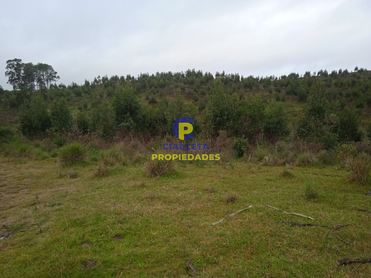 Rocha - GoPunta - Portal Inmobiliario de Punta del Este - Maldonado