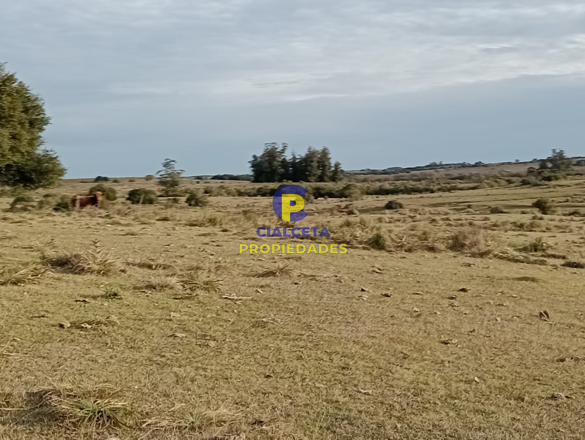 Garzon - GoPunta - Portal Inmobiliario de Punta del Este - Maldonado
