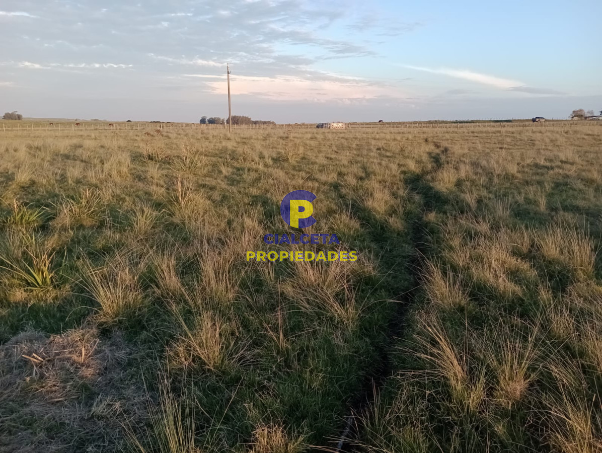 Garzon - GoPunta - Portal Inmobiliario de Punta del Este - Maldonado