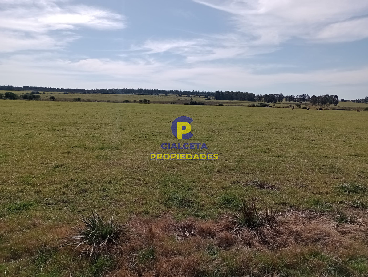 Solis - GoPunta - Portal Inmobiliario de Punta del Este - Maldonado