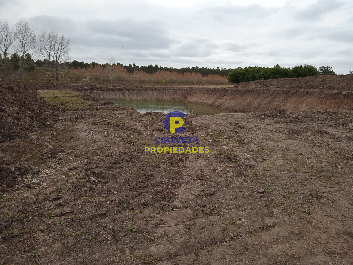Canelones - GoPunta - Portal Inmobiliario de Punta del Este - Maldonado