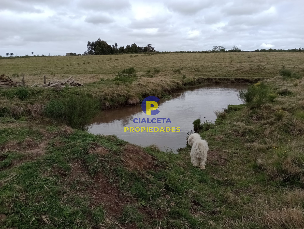 Propiedad - GoPunta - Portal Inmobiliario de Punta del Este - Maldonado