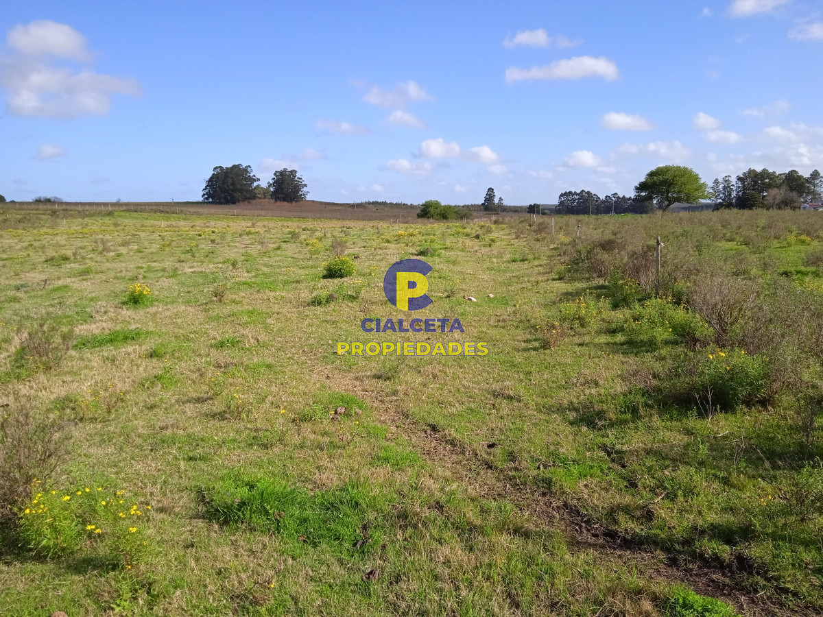 Migues - GoPunta - Portal Inmobiliario de Punta del Este - Maldonado