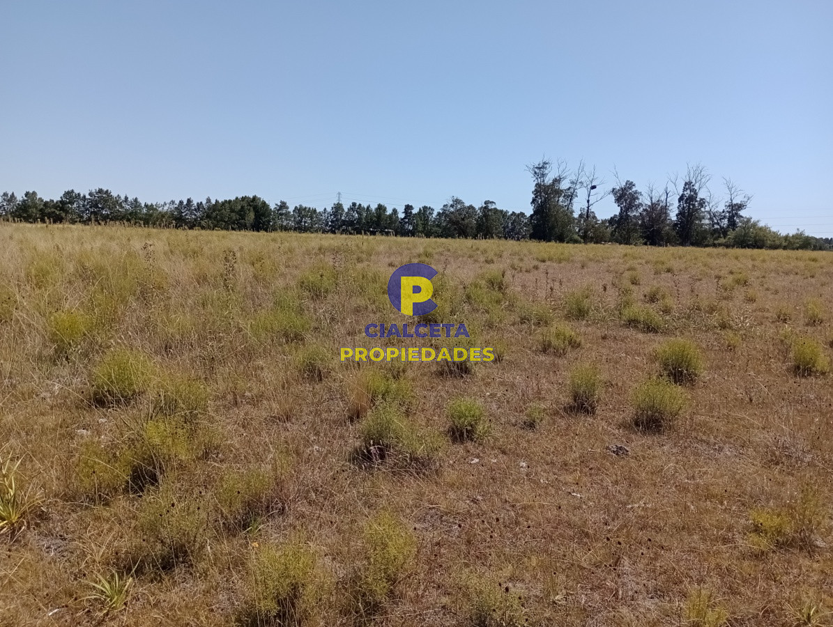 Zona Rural - GoPunta - Portal Inmobiliario de Punta del Este - Maldonado