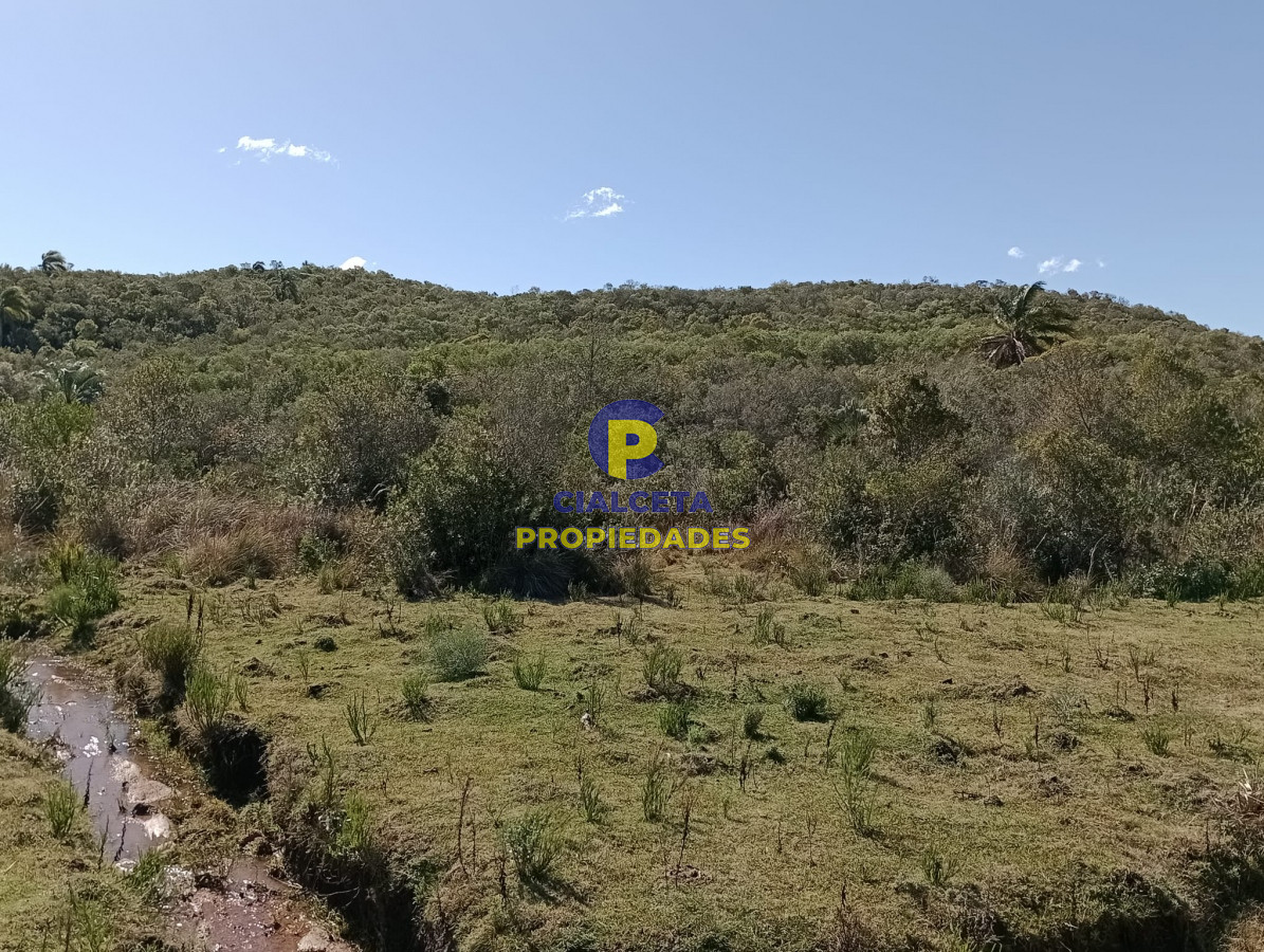 Las Cañas - GoPunta - Portal Inmobiliario de Punta del Este - Maldonado