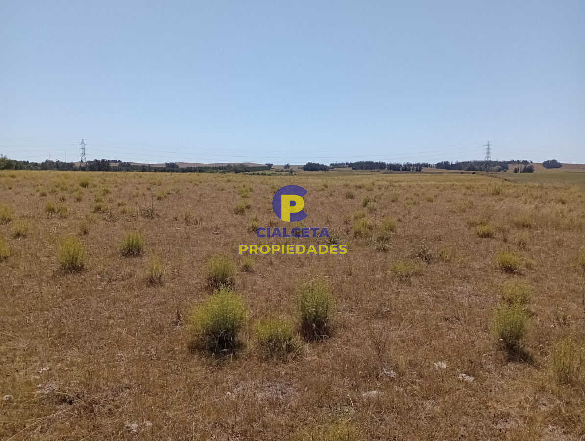 Zona Rural - GoPunta - Portal Inmobiliario de Punta del Este - Maldonado