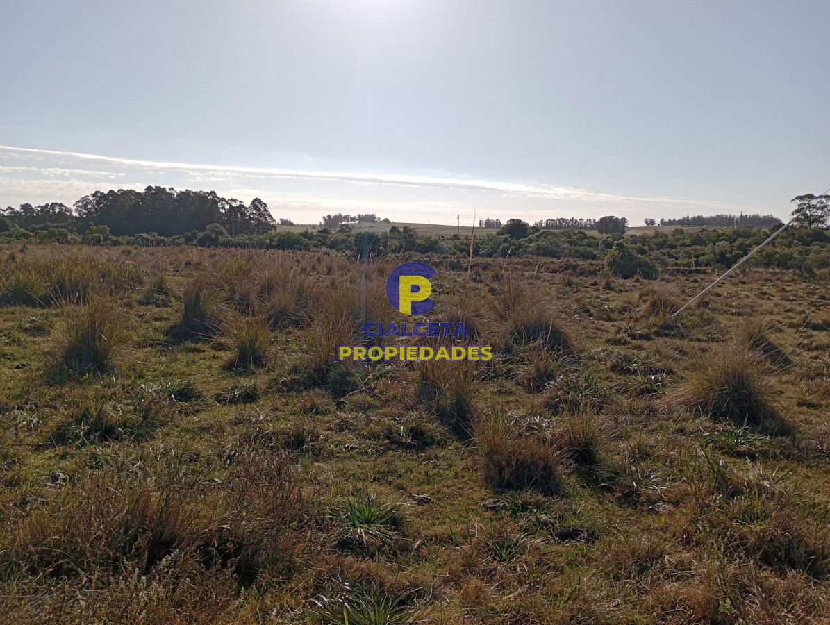 Garzon - GoPunta - Portal Inmobiliario de Punta del Este - Maldonado