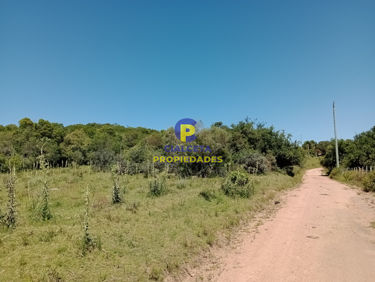 Las Cañas - GoPunta - Portal Inmobiliario de Punta del Este - Maldonado