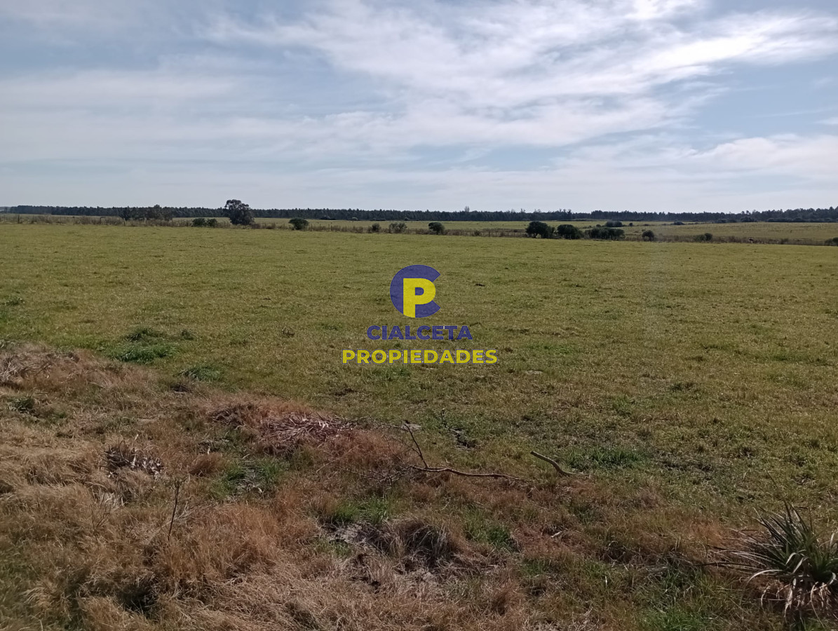 Solis - GoPunta - Portal Inmobiliario de Punta del Este - Maldonado