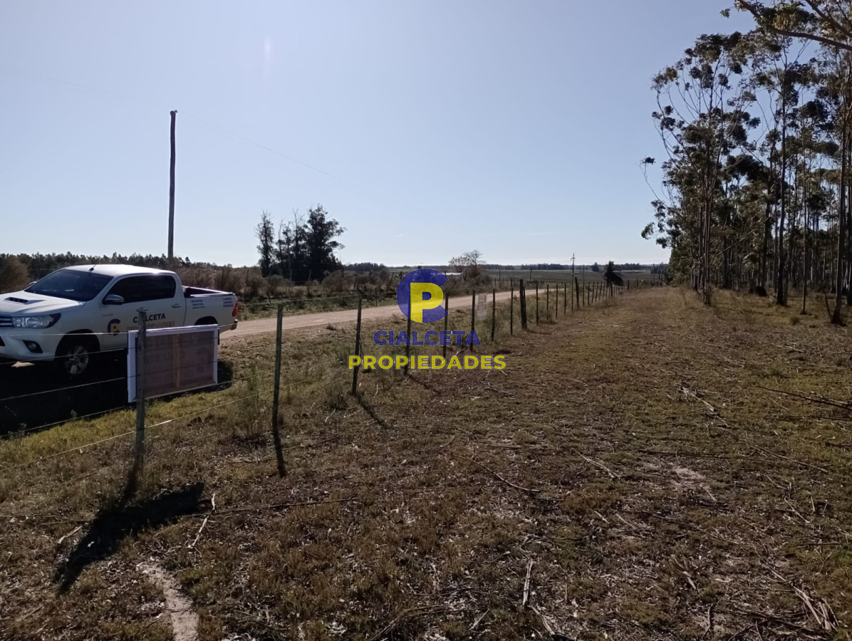 Propiedad - GoPunta - Portal Inmobiliario de Punta del Este - Maldonado