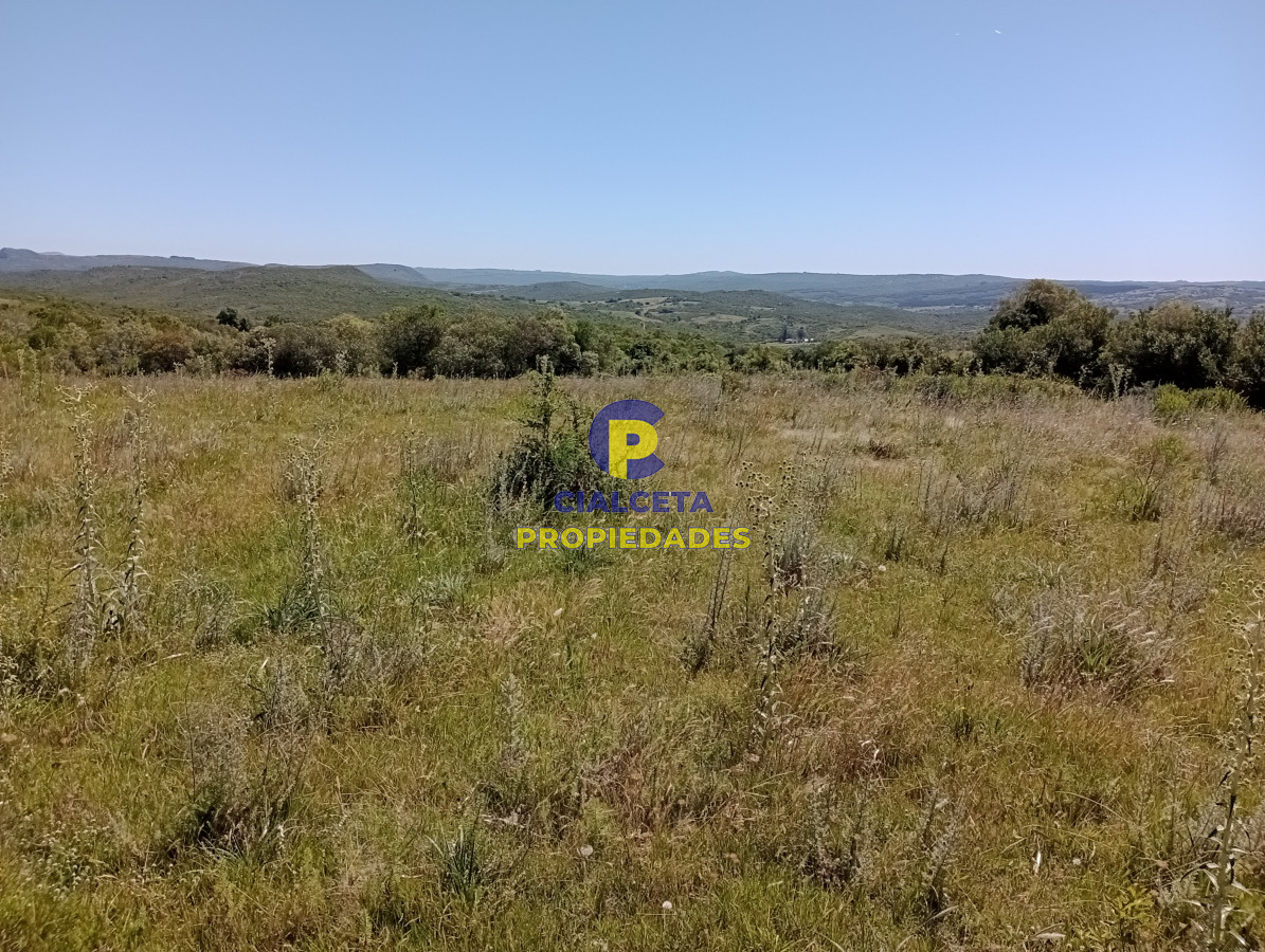 Las Cañas - GoPunta - Portal Inmobiliario de Punta del Este - Maldonado