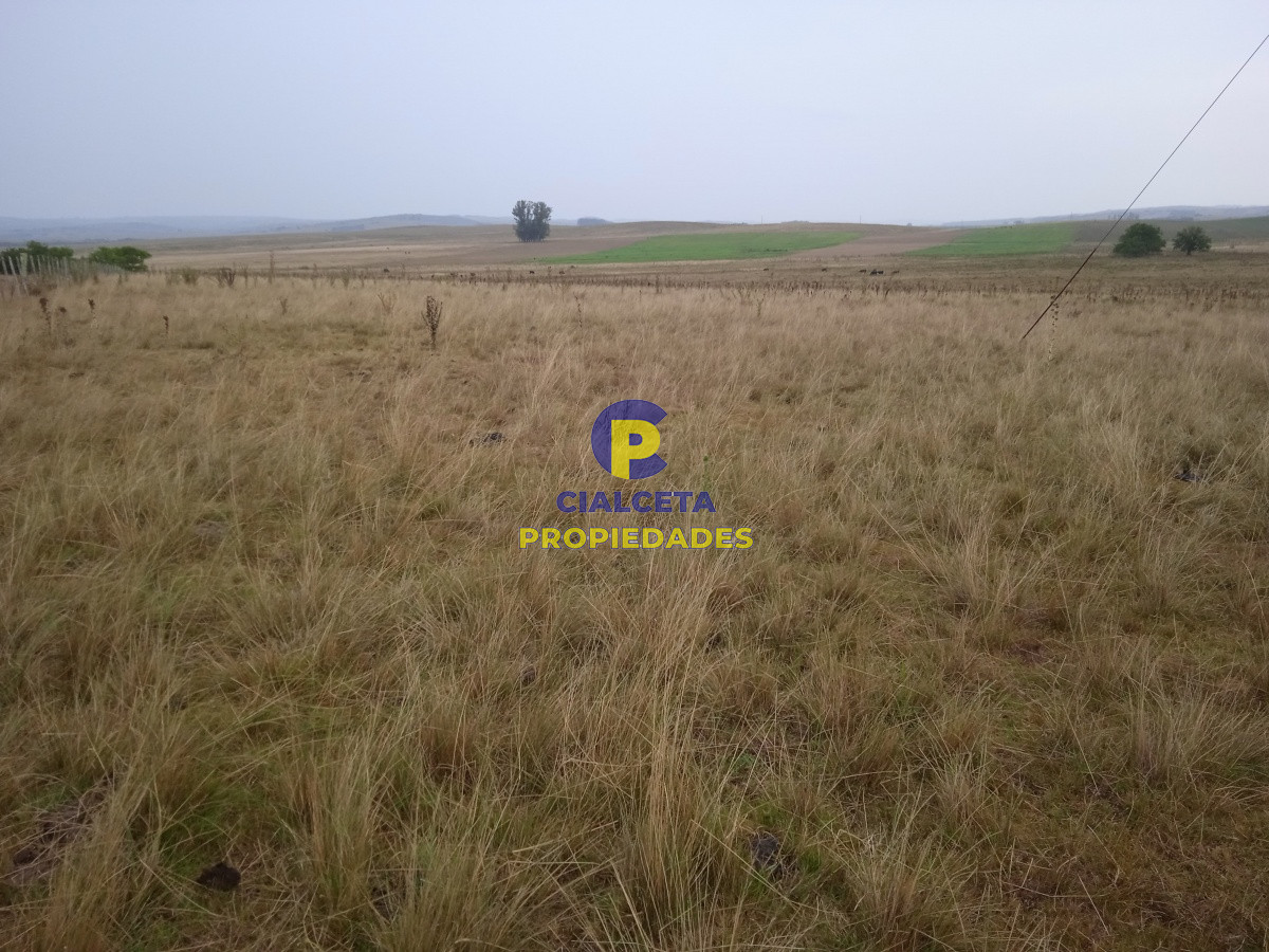 Los Talas - GoPunta - Portal Inmobiliario de Punta del Este - Maldonado