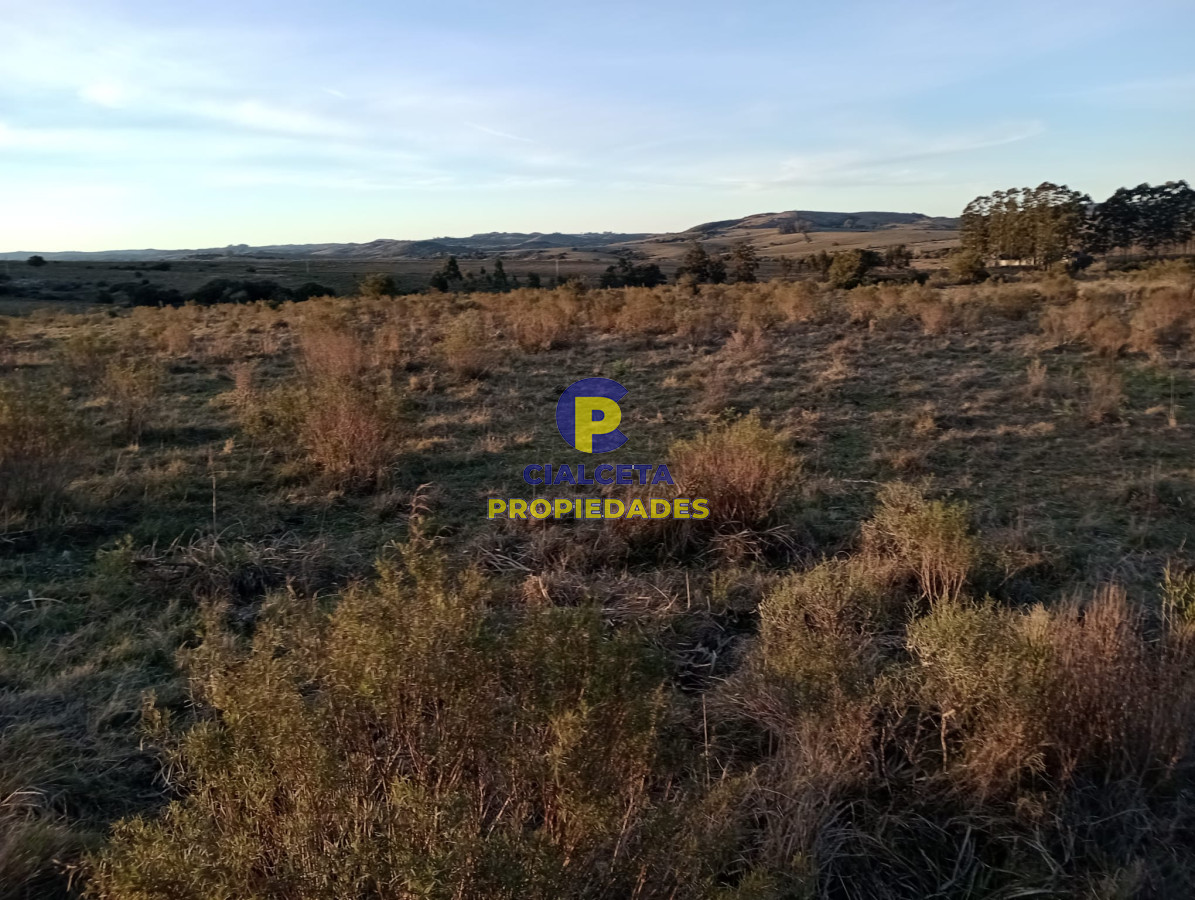 Pueblo Eden - GoPunta - Portal Inmobiliario de Punta del Este - Maldonado