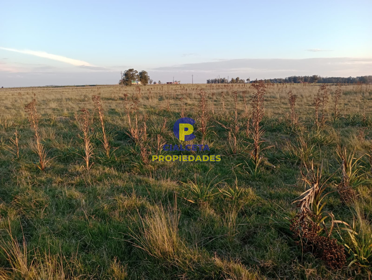 Garzon - GoPunta - Portal Inmobiliario de Punta del Este - Maldonado