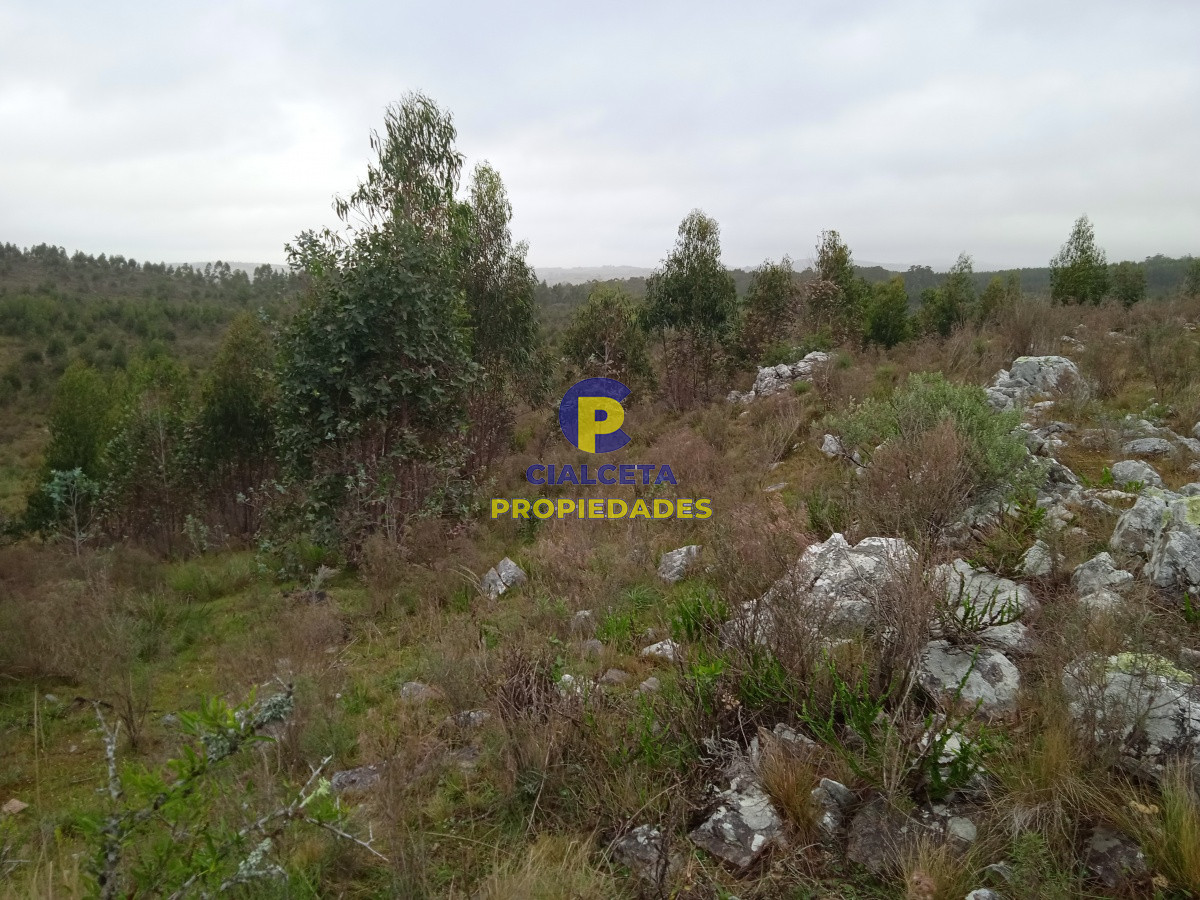Rocha - GoPunta - Portal Inmobiliario de Punta del Este - Maldonado