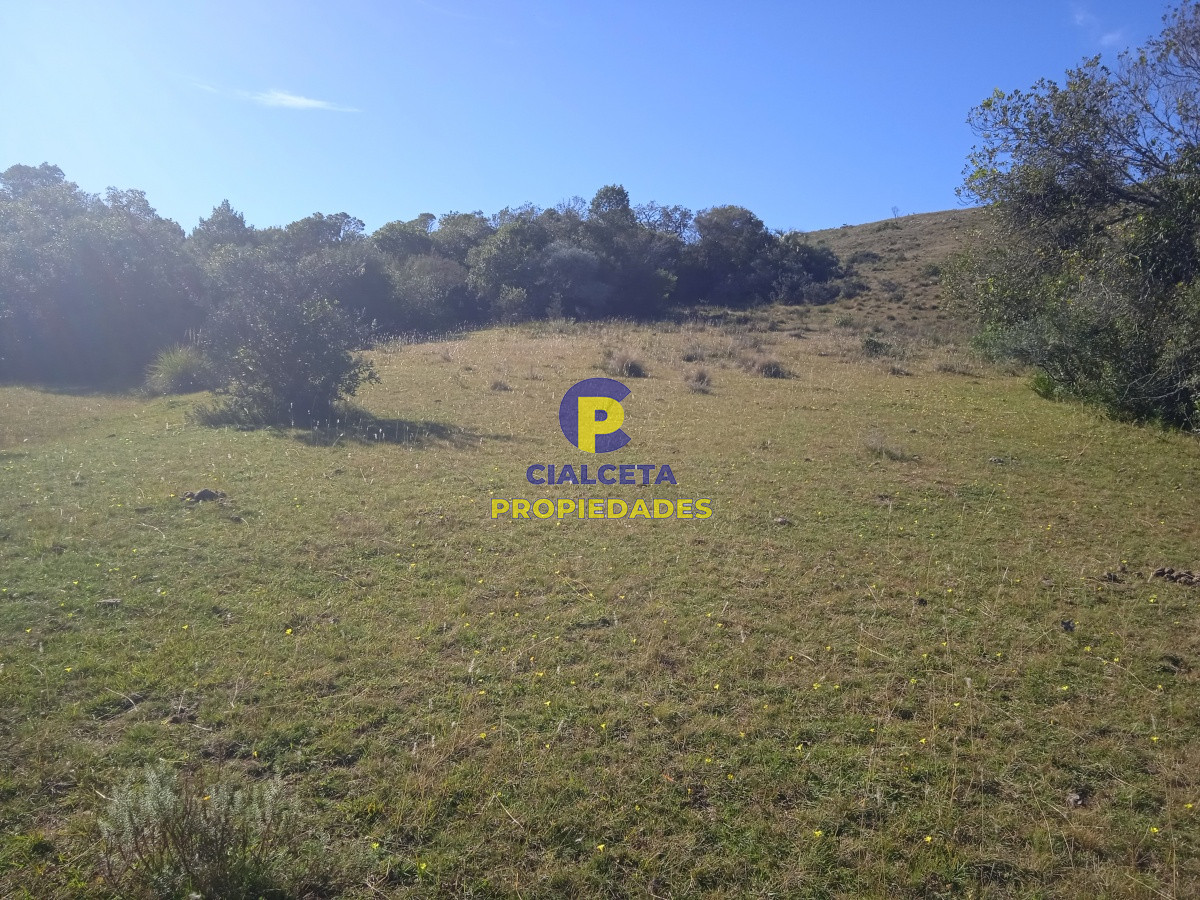 Las Cañas - GoPunta - Portal Inmobiliario de Punta del Este - Maldonado