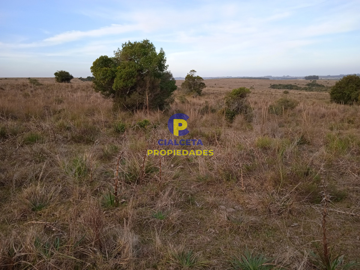 Pueblo Garzón - GoPunta - Portal Inmobiliario de Punta del Este - Maldonado