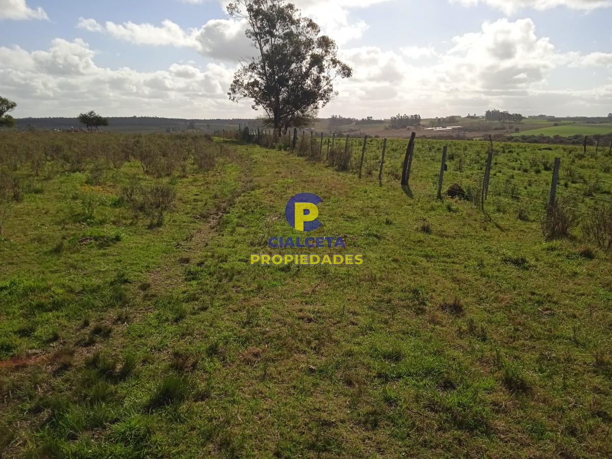 Migues - GoPunta - Portal Inmobiliario de Punta del Este - Maldonado