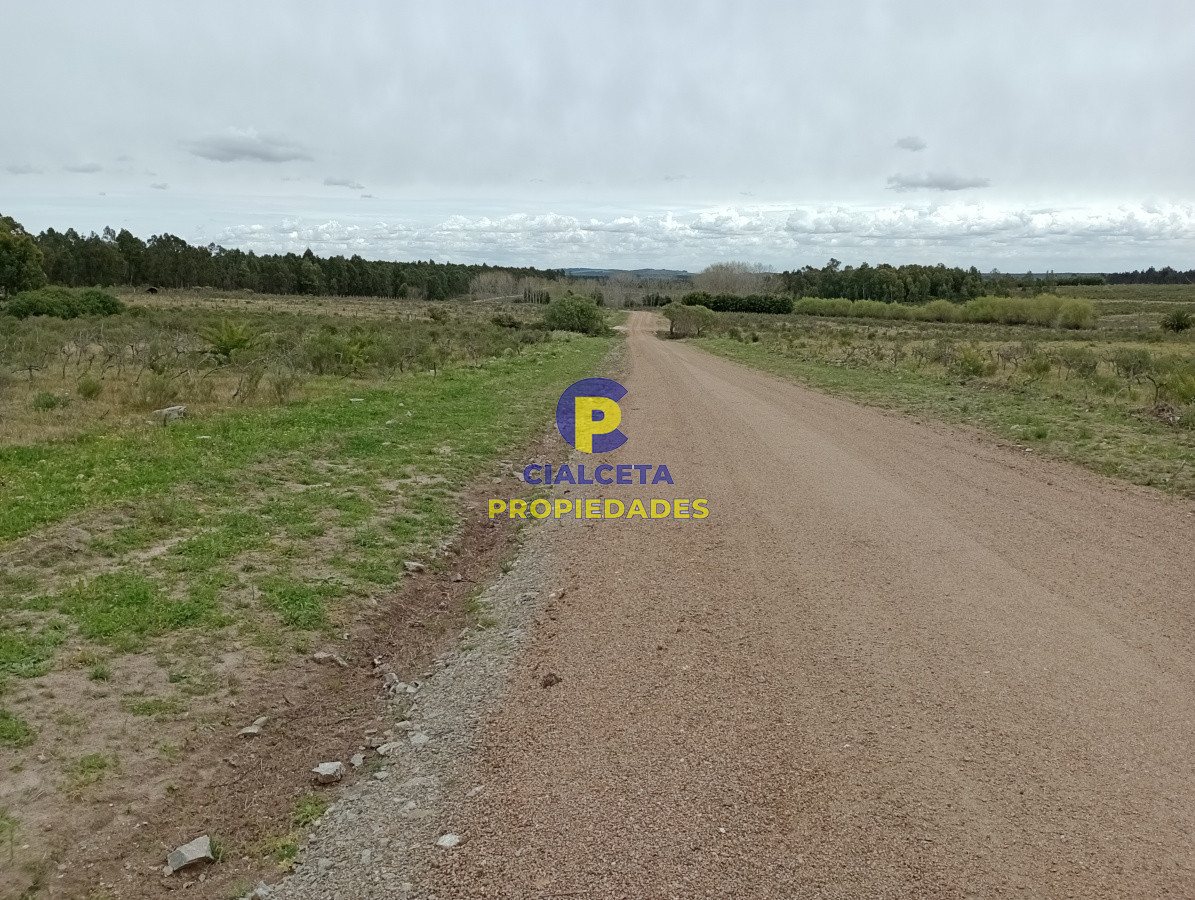 Canelones - GoPunta - Portal Inmobiliario de Punta del Este - Maldonado