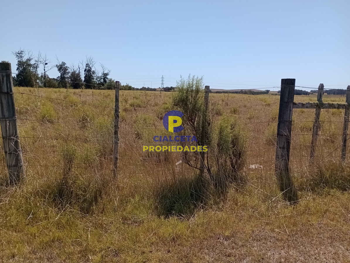 Zona Rural - GoPunta - Portal Inmobiliario de Punta del Este - Maldonado