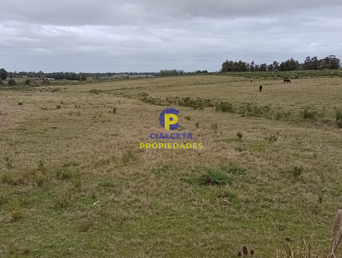 Propiedad - GoPunta - Portal Inmobiliario de Punta del Este - Maldonado
