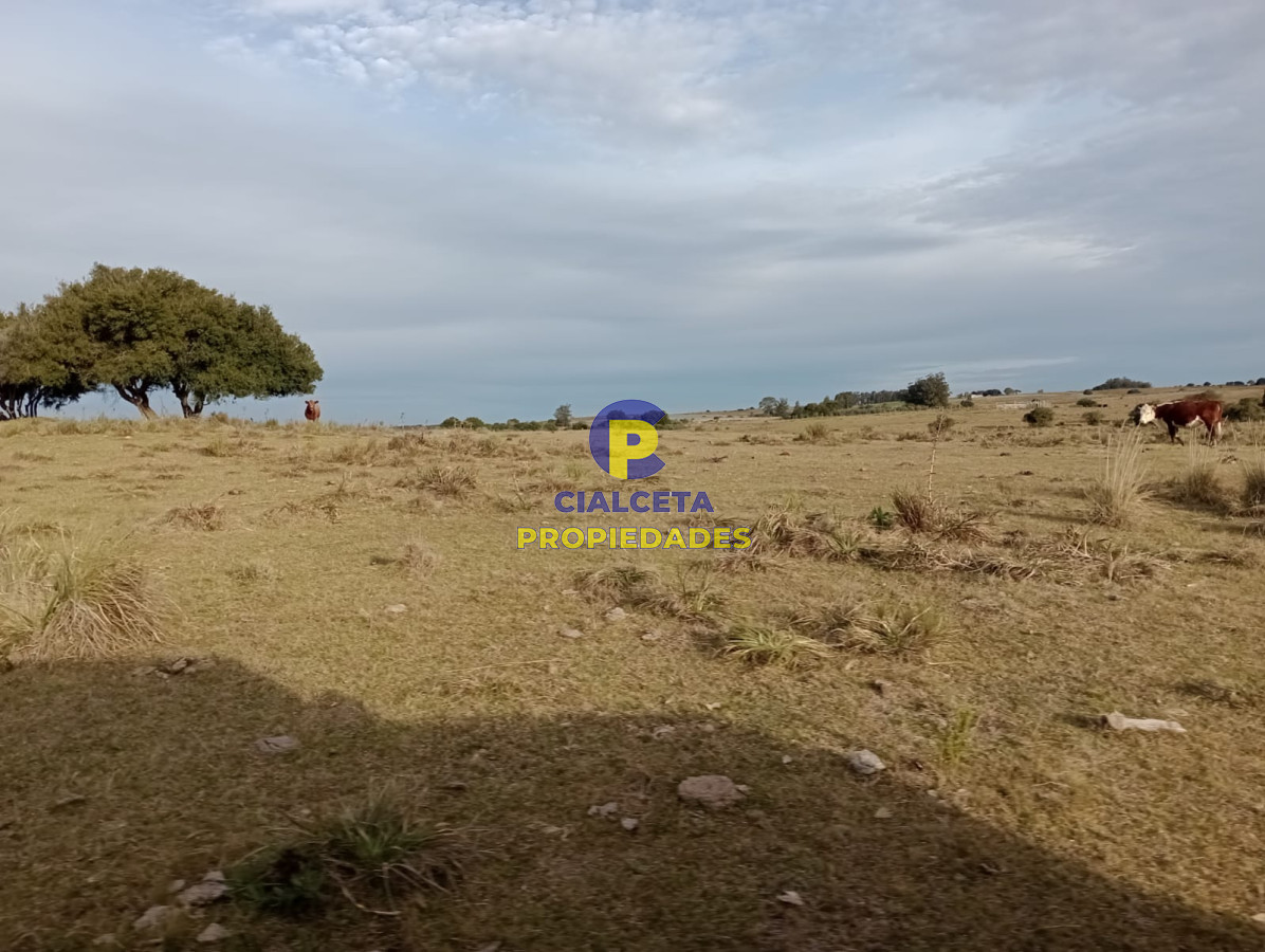 Garzon - GoPunta - Portal Inmobiliario de Punta del Este - Maldonado