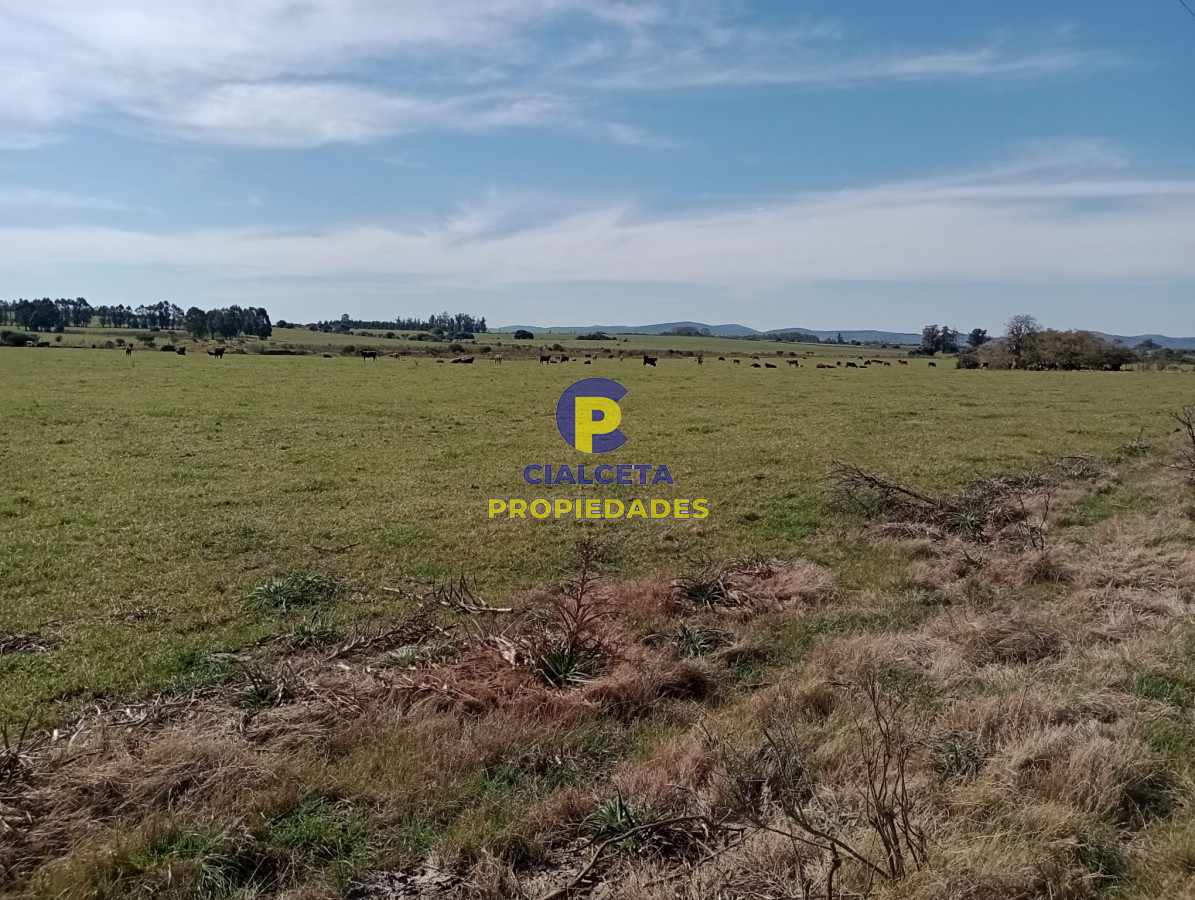 Solis - GoPunta - Portal Inmobiliario de Punta del Este - Maldonado