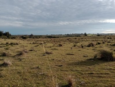 5 hectáreas en Malonado