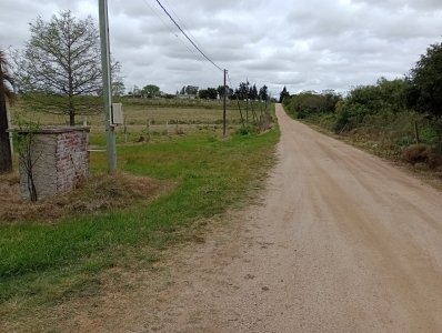 5 hectáreas con 8.000 mts en Canelones