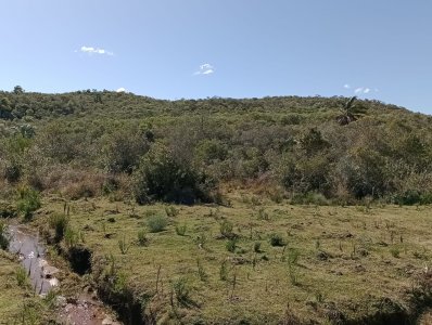 5 hectáreas con monte y cañada