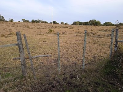 10 hectáreas en Garzón