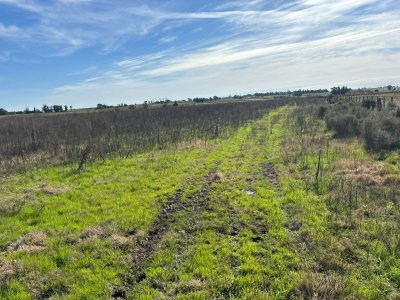 3 hectáreas en Canelones, entrega 20 mil y saldo a dos años