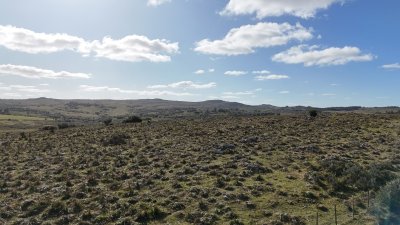 7 hectáreas con cañada a 20 km de San Carlos