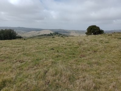 5 hectáreas con la vista mas linda de la zona