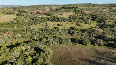 5 hectáreas en Zanja del Tigre