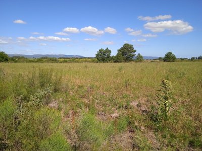 3 hectáreas en Canelones, RESERVADA