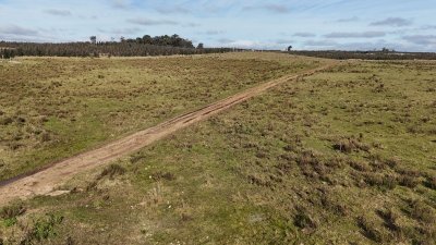 10 hectáreas en Lavalleja, atras de Villa Serrana