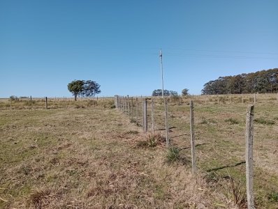 7 hectáreas en José Ignacio