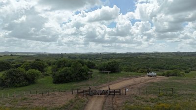 3 hectáreas en Maldonado, preciosa chacra