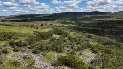 3 hectáreas a 25 km de San Carlos, se financian
