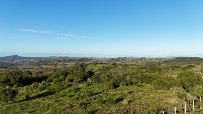 4  hectáreas con monte nativo en Maldonado