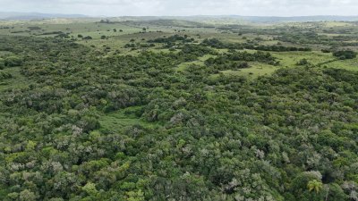 4 hectáreas con 6.600 metros con monte y arroyo